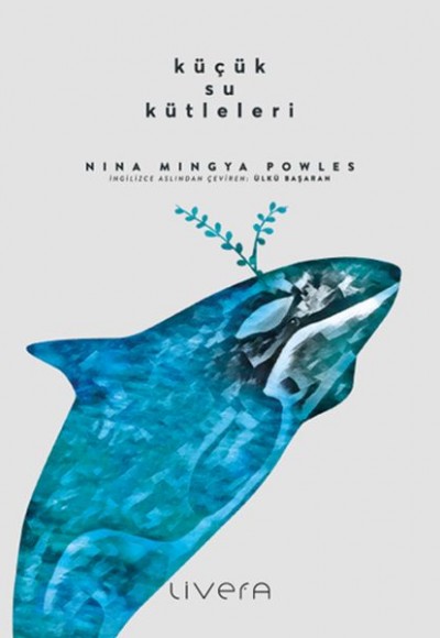 Küçük Su Kütleleri Küçük Su Kütleleri