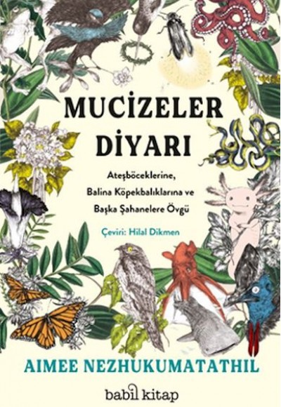 Mucizeler Diyarı