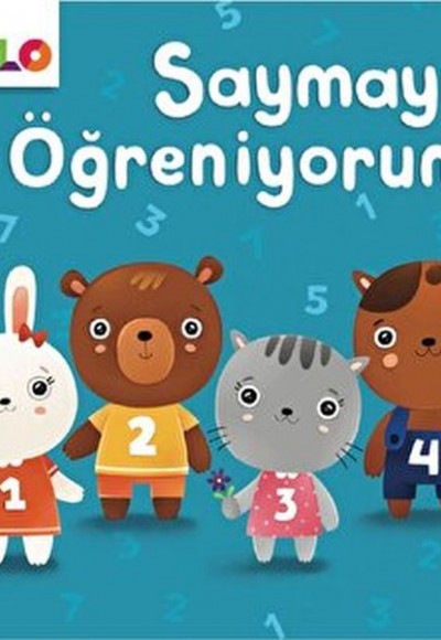Karton Kitaplar-Saymayı Öğreniyorum