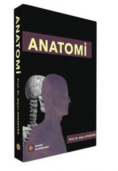 Anatomi Anatomi