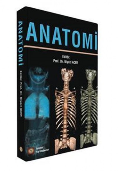 Anatomi Anatomi