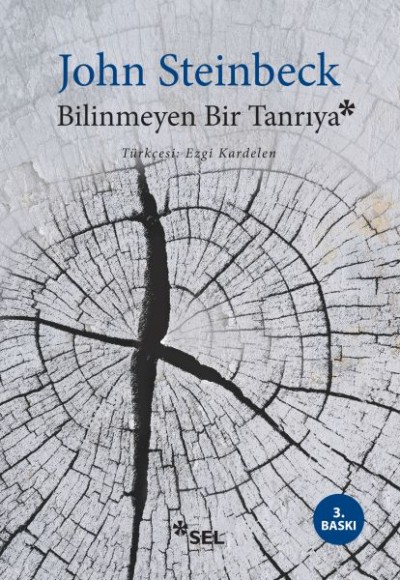 Bilinmeyen Bir Tanrıya Bilinmeyen Bir Tanrıya