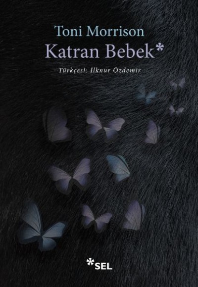 Katran Bebek Katran Bebek