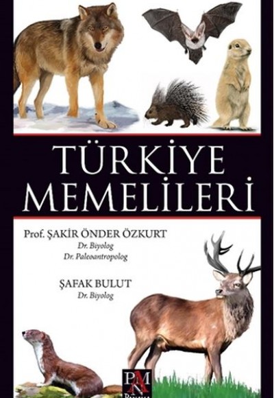 Türkiye Memelileri Türkiye Memelileri