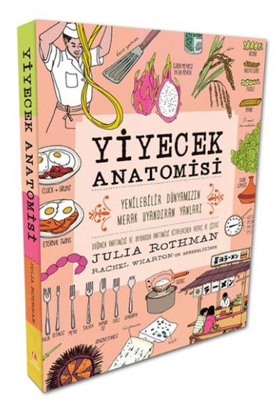 Yiyecek Anatomisi Yiyecek Anatomisi