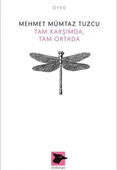 Tam Karşımda, Tam Ortada
