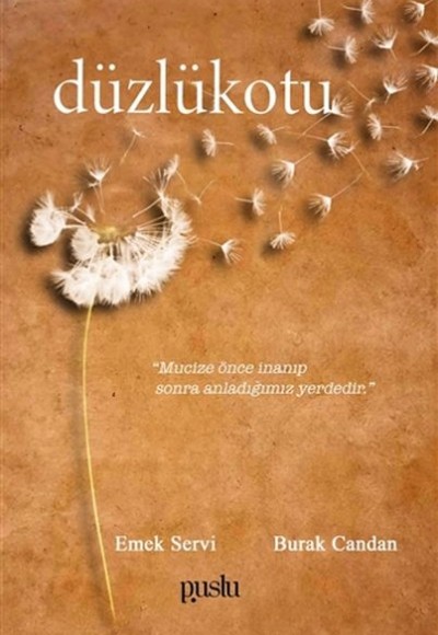 Düzlükotu Düzlükotu