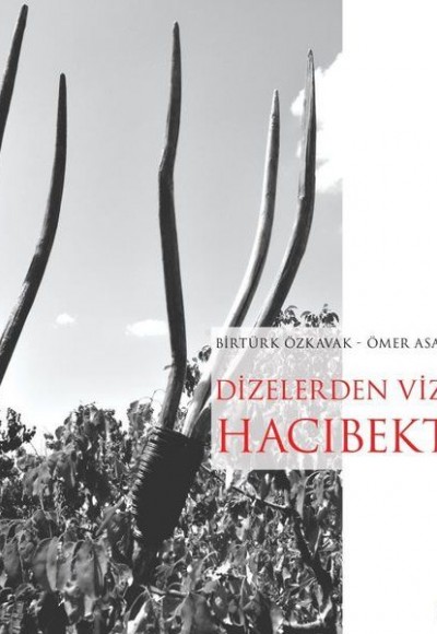 Dizelerden Vizöre Hacıbektaş Dizelerden Vizöre Hacıbektaş