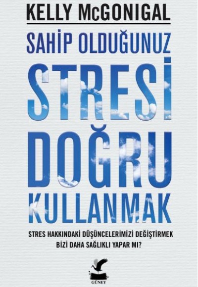 Sahip Olduğunuz Stresi Doğru Kullanmak Sahip Olduğunuz Stresi Doğru Kullanmak