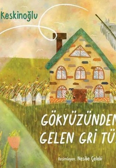 Gökyüzünden Gelen Gri Tüy Gökyüzünden Gelen Gri Tüy