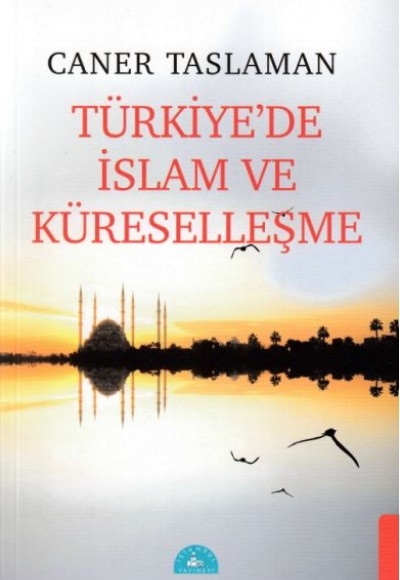 Türkiye'de İslam ve Küreselleşme Türkiye'de İslam ve Küreselleşme