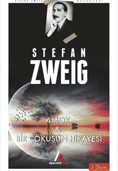 Amok ve Bir Çöküşün Hikayesi Amok ve Bir Çöküşün Hikayesi