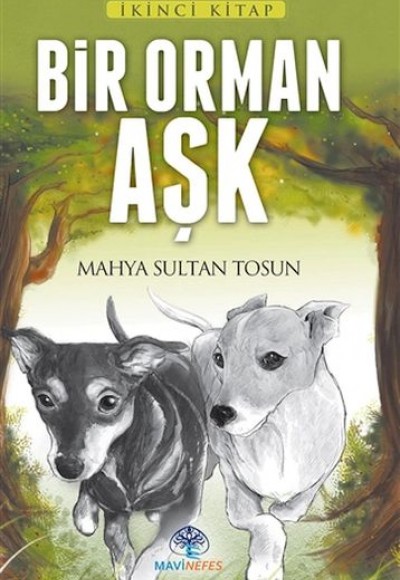 Bir Orman Aşk Bir Orman Aşk