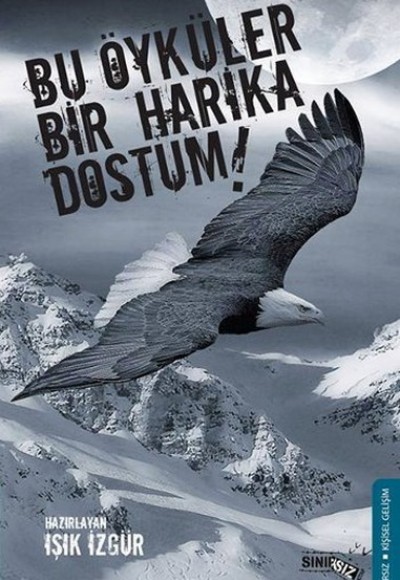 Bu Öyküler Bir Harika Dostum! Bu Öyküler Bir Harika Dostum!