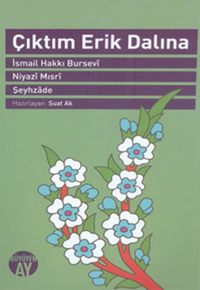 Çıktım Erik Dalına Çıktım Erik Dalına