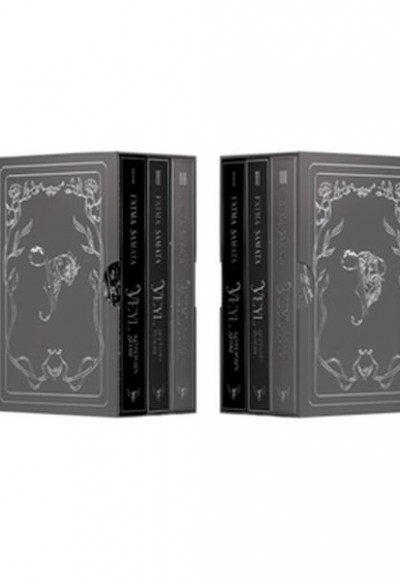 Veyl Serisi Üç Kitap Kutulu Set