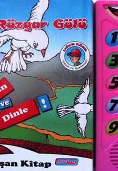 Rüzgar Gülü Dokun ve Dinle Konuşan Kitap Rüzgar Gülü Dokun ve Dinle Konuşan Kitap