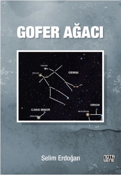 Gofer Ağacı Gofer Ağacı
