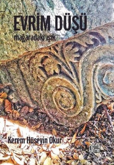 Evrim Düşü Evrim Düşü