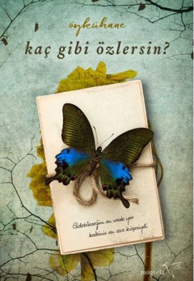 Kaç Gibi Özlersin? Kaç Gibi Özlersin?
