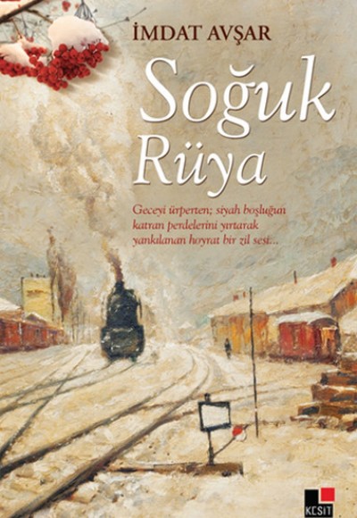 Soğuk Rüya Soğuk Rüya