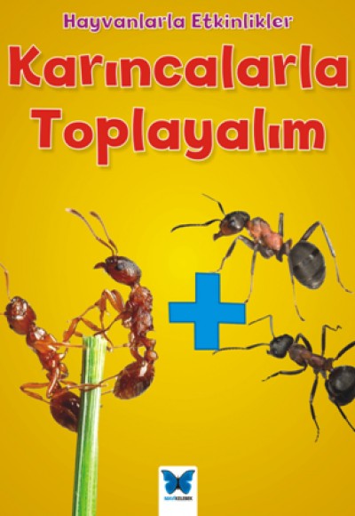 Hayvanlarla Etkinlikler - Karıncalarla Toplayalım