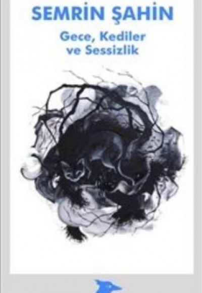 Gece, Kediler ve Sessizlik