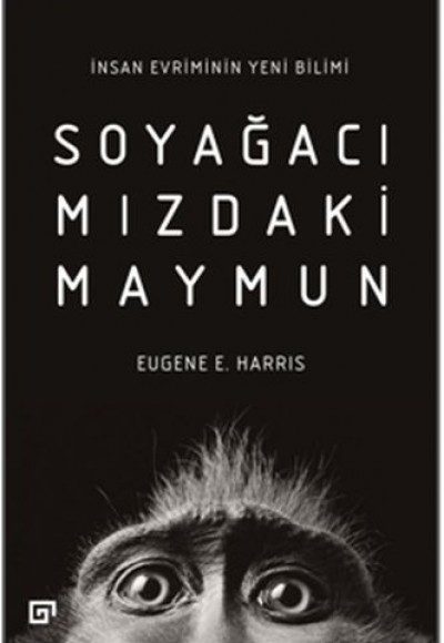 Soyağacımızdaki Maymun Soyağacımızdaki Maymun