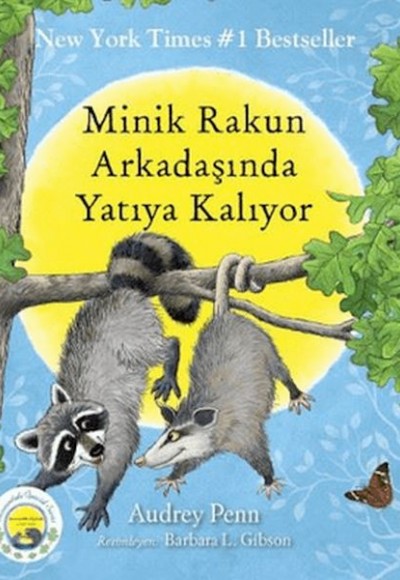 Minik Rakun Arkadaşında Yatıya Kalıyor Minik Rakun Arkadaşında Yatıya Kalıyor