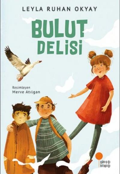 Bulut Delisi Bulut Delisi