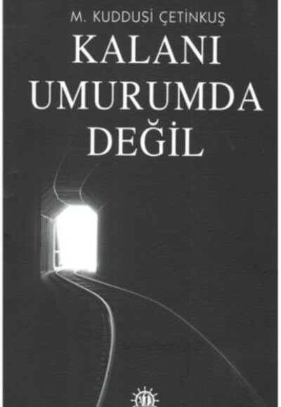 Kalanı Umurumda Değil Kalanı Umurumda Değil
