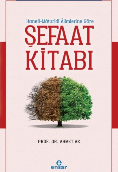 Hanefi - Maturidi Alimlerine Göre Şefaat Kitabı Hanefi - Maturidi Alimlerine Göre Şefaat Kitabı