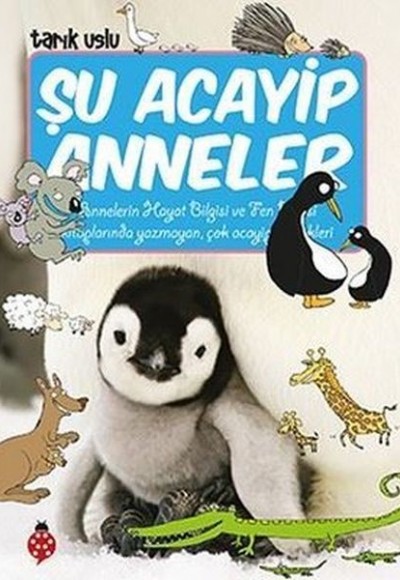 Şu Acayip Anneler Şu Acayip Anneler