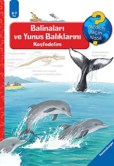 Ravensburger Maksi Balinaları ve Yunus Balıklarını Keşfedelim Ravensburger Maksi Balinaları ve Yunus Balıklarını Keşfedelim