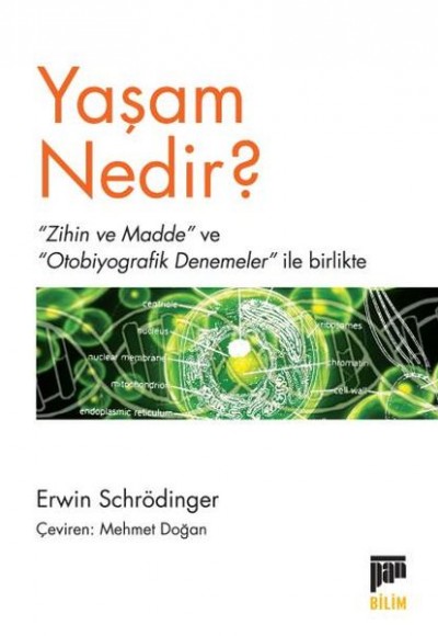 Yaşam Nedir Yaşam Nedir