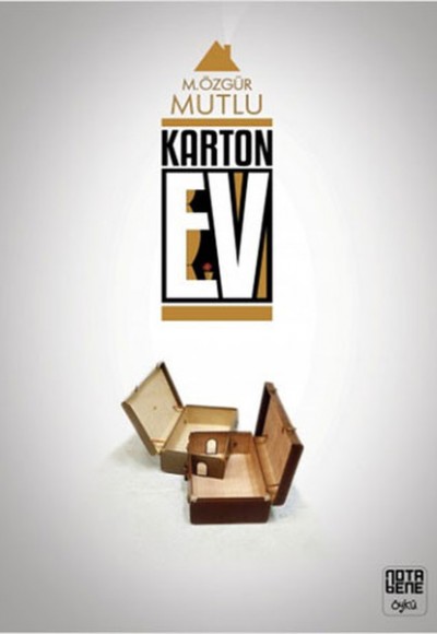 Karton Ev Karton Ev