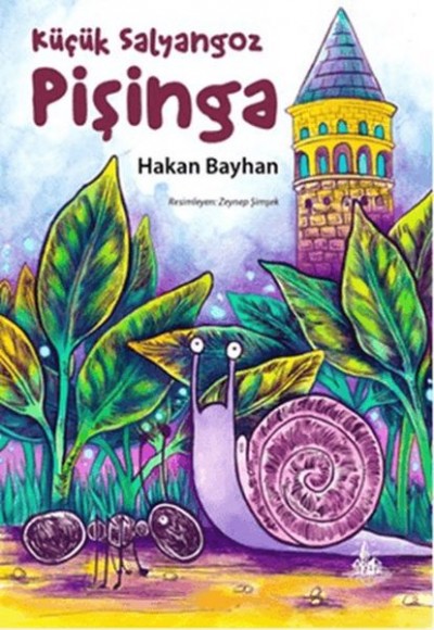 Küçük Salyangoz Pişinga Küçük Salyangoz Pişinga