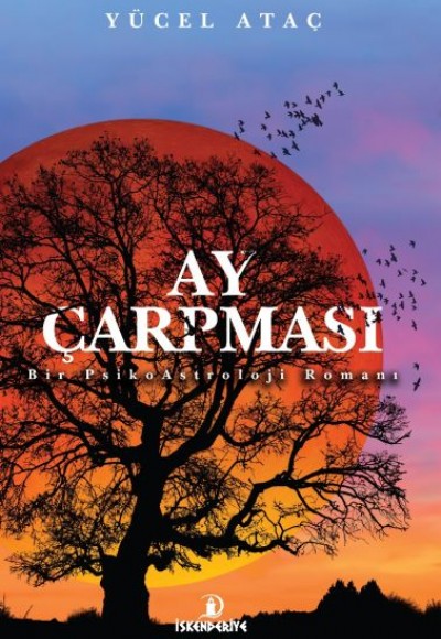 Ay Çarpması - Bir PsikoAstroloji Romanı Ay Çarpması - Bir PsikoAstroloji Romanı