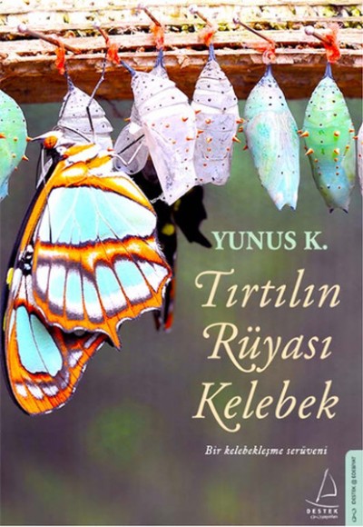 Tırtılın Rüyası Kelebek Tırtılın Rüyası Kelebek