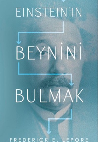 Eınsteın’ın Beynini Bulmak Eınsteın’ın Beynini Bulmak