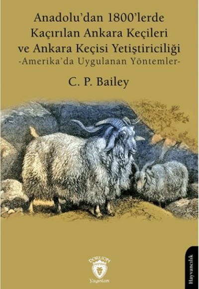 Anadolu’dan 1800’lerde Kaçırılan Ankara Keçileri ve Ankara Keçisi Yetiştiriciliği -Amerika’da Uygula Anadolu’dan 1800’lerde Kaçırılan Ankara Keçileri ve Ankara Keçisi Yetiştiriciliği -Amerika’da Uygula