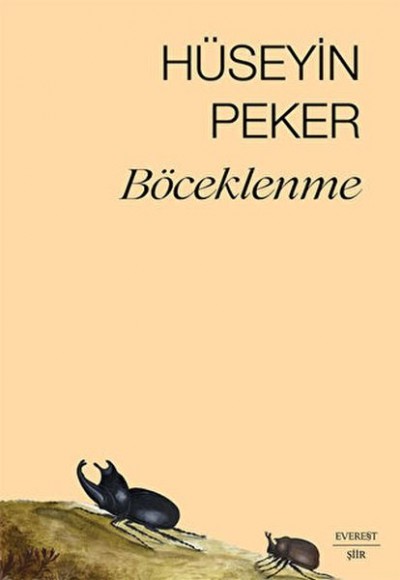 Böceklenme Böceklenme
