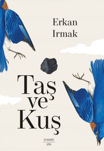 Taş ve Kuş Taş ve Kuş