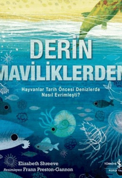 Derin Maviliklerden Derin Maviliklerden