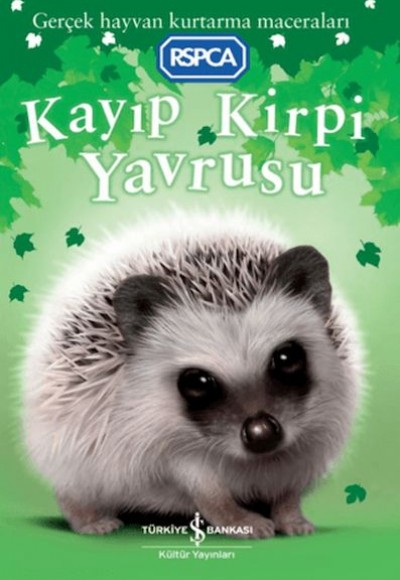 Kayıp Kirpi Yavrusu Kayıp Kirpi Yavrusu