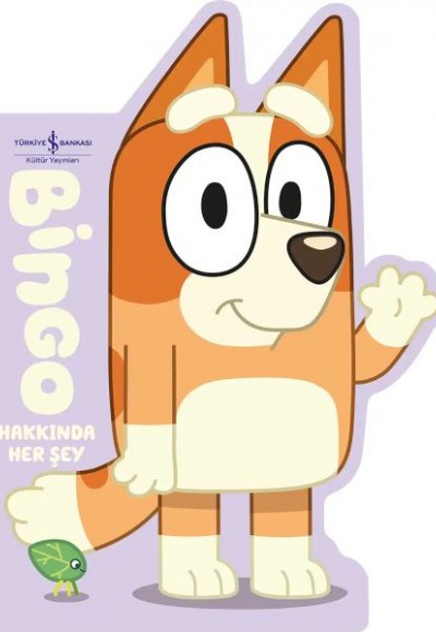 Bingo Hakkında Her Şey Bingo Hakkında Her Şey