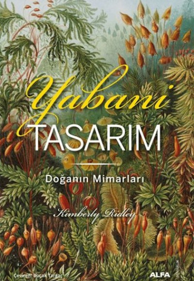 Yabani Tasarım Yabani Tasarım