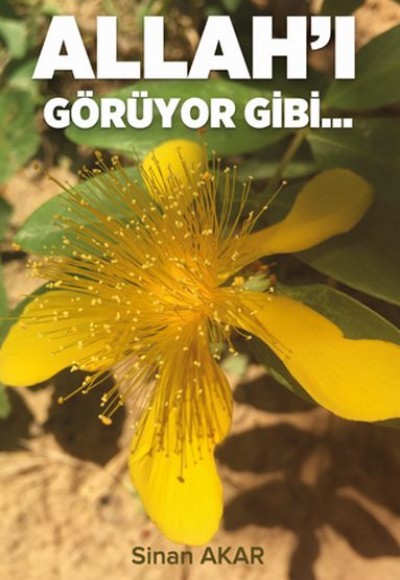 Allah'ı Görüyor Gibi...