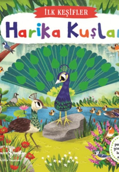 Hareketli Harika Kuşlar - İlk Keşifler Hareketli Harika Kuşlar - İlk Keşifler