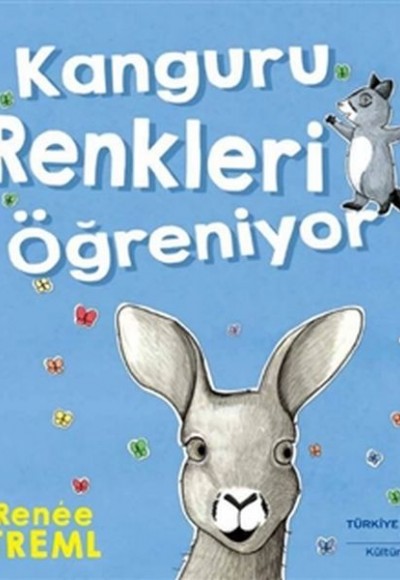 Kanguru Renkleri Öğreniyor Kanguru Renkleri Öğreniyor